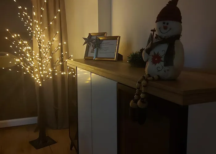 Kid Luxury Apartment